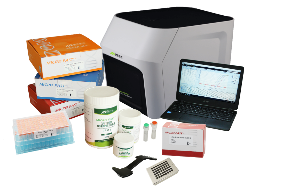 微生物.png 微生物.png