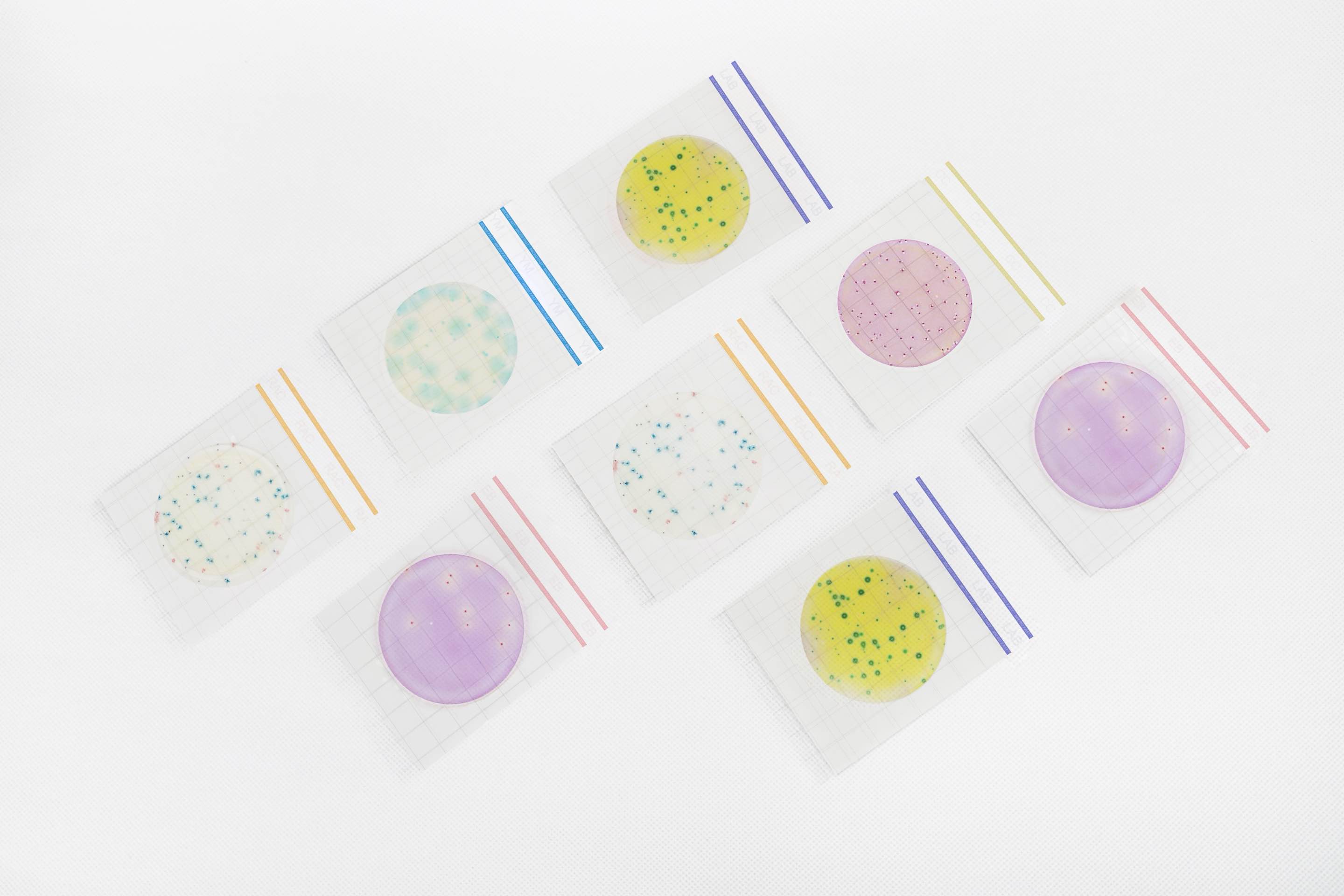 Premium系列測試片正式發布，為美正全球食品安全檢測領域再添利器！