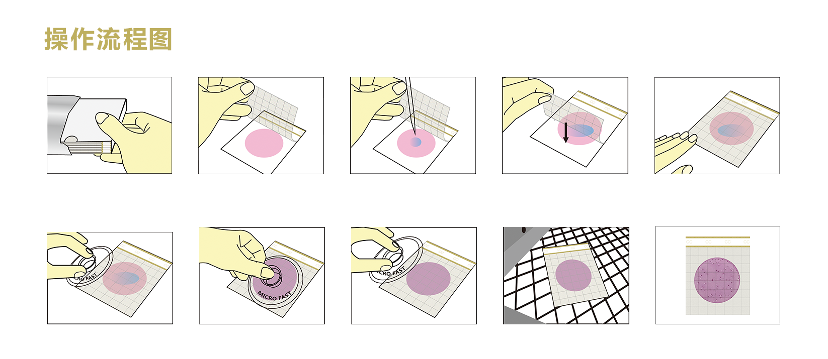 大腸.png 大腸.png