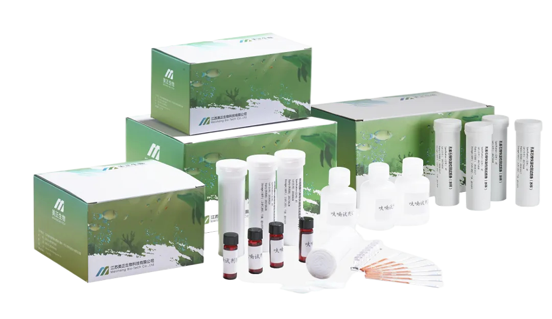 640_副本.jpg 640_副本.jpg