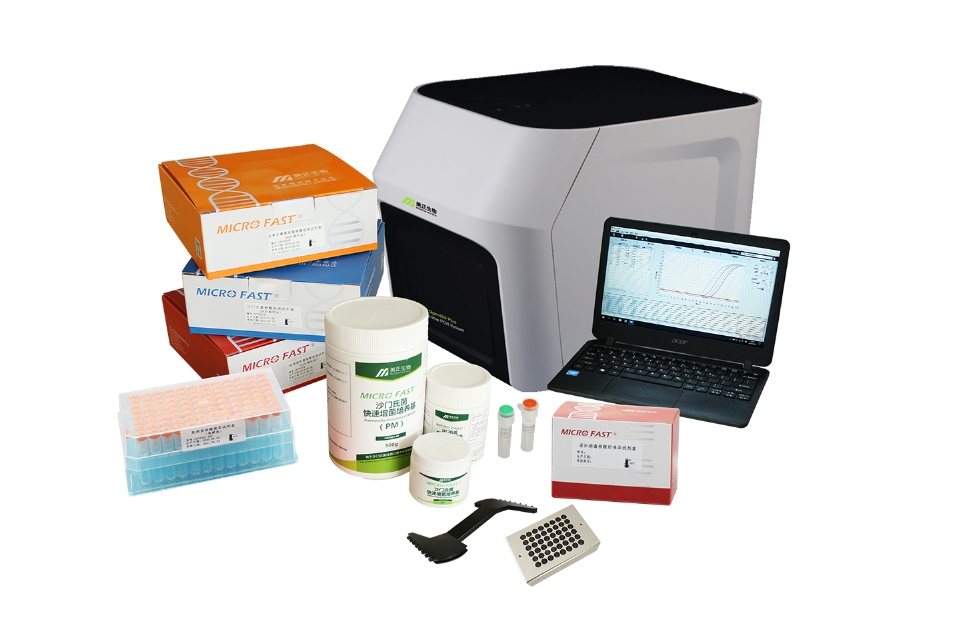 微信截圖_20241212153142.png 微信截圖_20241212153142.png