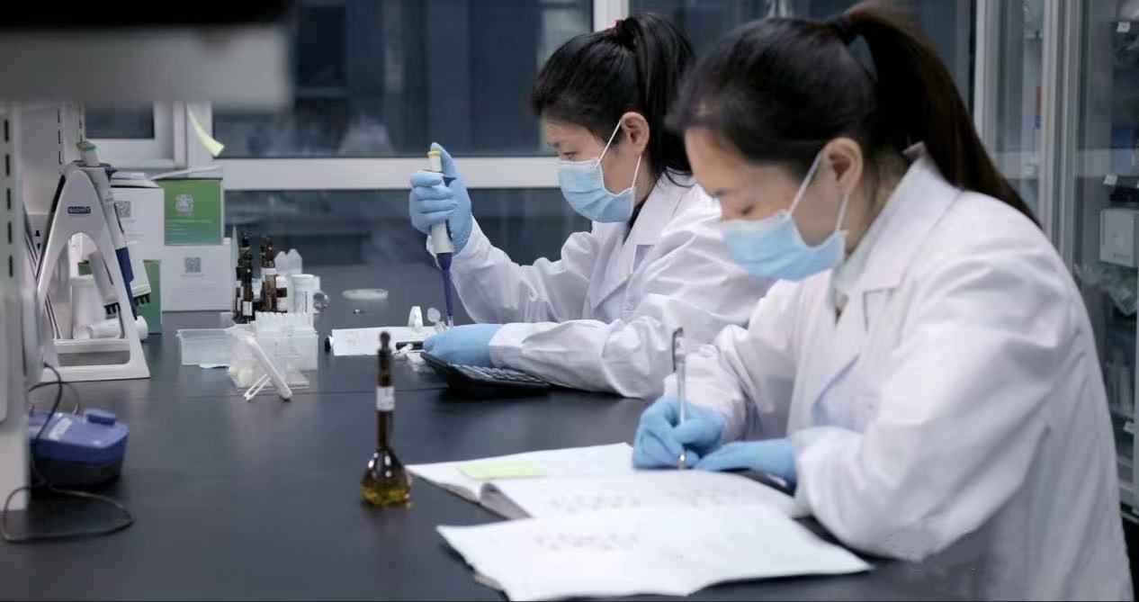 微信圖片_20250205141846.jpg 微信圖片_20250205141846.jpg