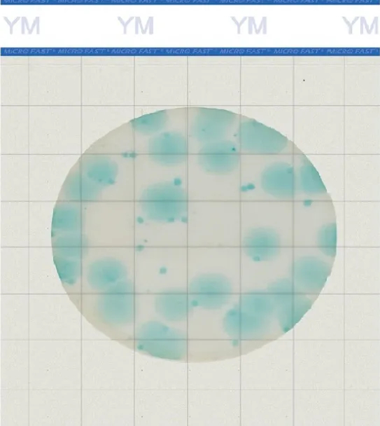 640_副本.jpg 640_副本.jpg